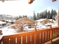 Chalet-apartment Gerlos-3