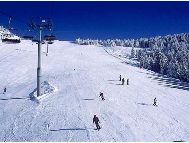 Ski village Authentic French winter-sport village, nearby de Swiss border-4