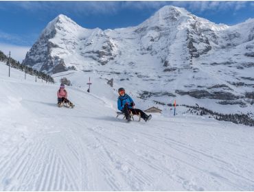 Ski village Diverse and car-free winter sport village in the Berner Oberland-6