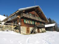 Chalet Les Planches-17