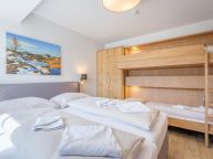 Chalet-apartment Sonnblick Top 3-8