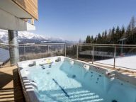 Chalet Reiteralm with swimming spa-3