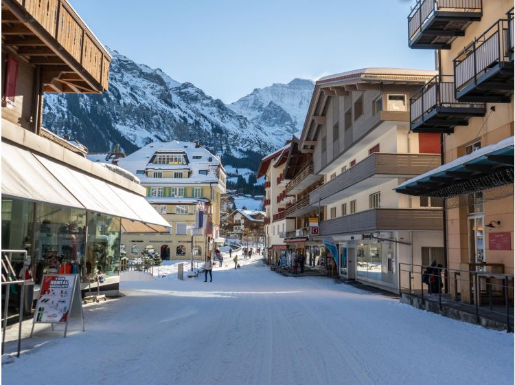 Ski village Diverse and car-free winter sport village in the Berner Oberland-1