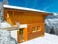 Chalet Vritz-14