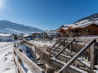 Chalet-apartment Tauern Suite Penthouse-25