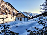 Chalet Riesneralm Liene-20