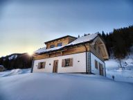 Chalet Riesneralm Liene-19