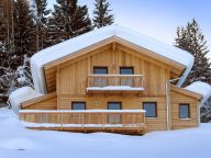 Chalet Alpendorf Dachstein-West Alpenrose-15