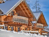 Chalet Almwelt Austria-4