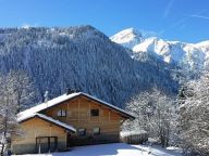 Chalet Vuargnes with private sauna and swimming pool-29