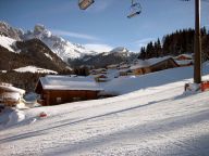 Chalet Alpendorf Dachstein-West Alpenrose-12