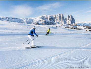 Ski region Dolomites - Val Gardena-3
