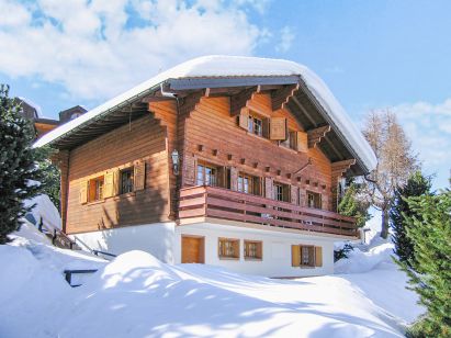 Chalet Les Geais-1