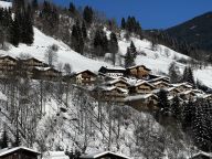 Chalet-apartment AlpenParks Rehrenberg Alpine-21