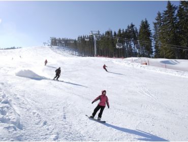 Ski village -5