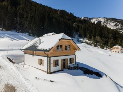 Chalet Riesneralm Lörenzhütte-1