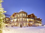 Chalet-apartment Wildkogelresorts Type IIIa-22