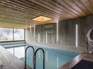 Chalet CSX01 with private swimming pool-3