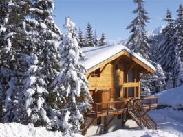 Chalets and apartments for 10 people in Austria