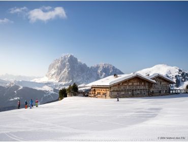 Ski region Dolomites - Val Gardena-2
