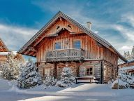 Chalet Almwelt Austria-4