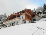 Chalet-apartment Alpenchalet am Wildkogel Smaragd with wellness-area-6