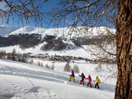 Ski region Livigno