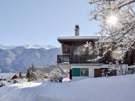 Chalet Les Cassis-13