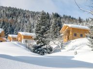 Chalet Alpendorf Dachstein-West Alpenrose-17