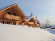 Chalet Almwelt Austria-4