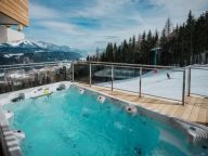 Chalet Reiteralm with swimming spa-22