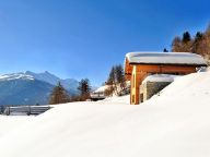 Chalet Matterhorn with sauna and outdoor whirlpool-29