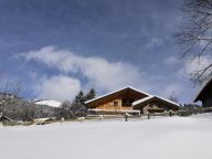 Chalet Vuargnes with private sauna and swimming pool-30