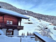 Chalet Birkheim-18